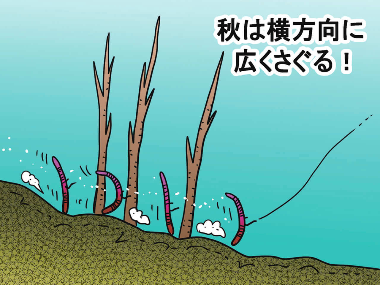 ｜オーバー10m!津久井湖のスーパーロコが明かすディープ攻略法と信頼のロッド