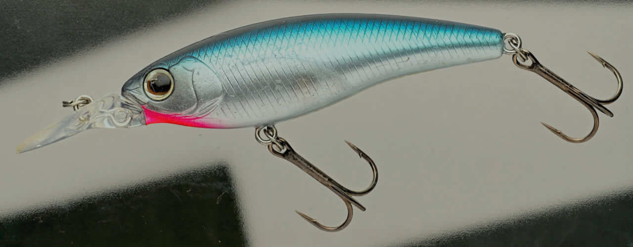 ｜【初場所攻略】バス釣り最後の秘境⁉「柳川クリーク」に佐々木勝也が挑む!!