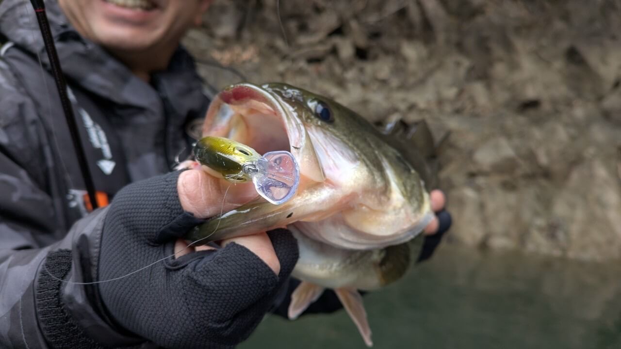 ｜『バス釣り上達100のヒント』CH.15「厳寒期のネバーギブアップ! 間違いだらけの常識に囚われるな!!」【帰ってきた、シン・ネバギバ。】清水盛三、インタビュー連載!!  