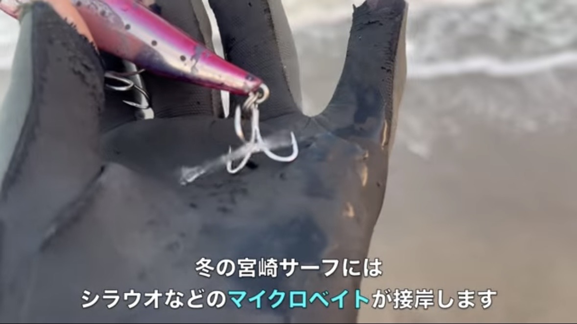 ｜「え、何コレ…」「すごい、デカい」砂浜から釣り上げられた魚の正体。まさかの日本記録級に驚愕。