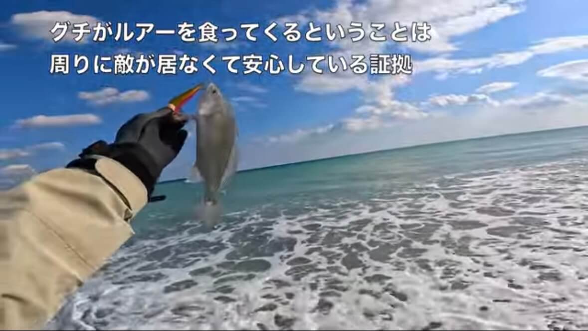 ｜「え、何コレ…」「すごい、デカい」砂浜から釣り上げられた魚の正体。まさかの日本記録級に驚愕。