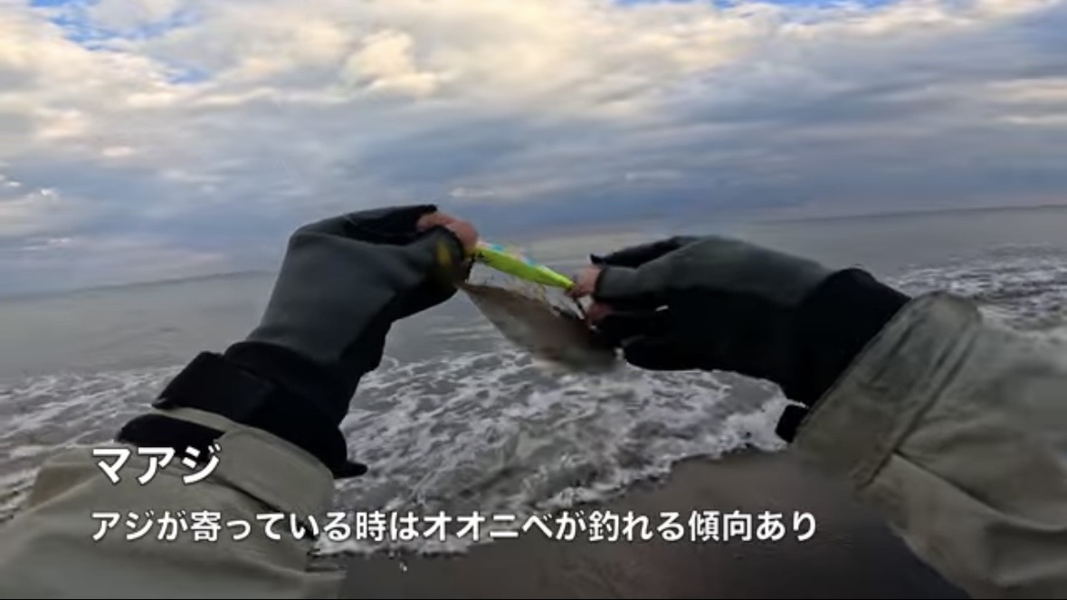 ｜「え、何コレ…」「すごい、デカい」砂浜から釣り上げられた魚の正体。まさかの日本記録級に驚愕。