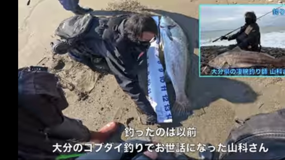｜「え、何コレ…」「すごい、デカい」砂浜から釣り上げられた魚の正体。まさかの日本記録級に驚愕。