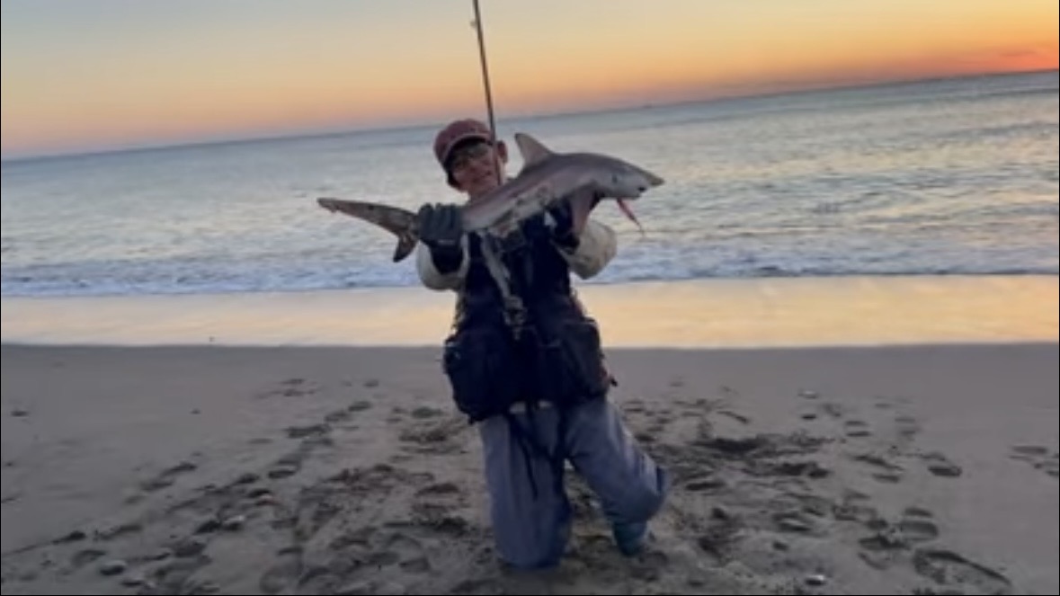 ｜「すぐそばに潜んでいました」砂浜の巨大魚が目の前で…。釣り上げた魚のサイズに「驚愕」。