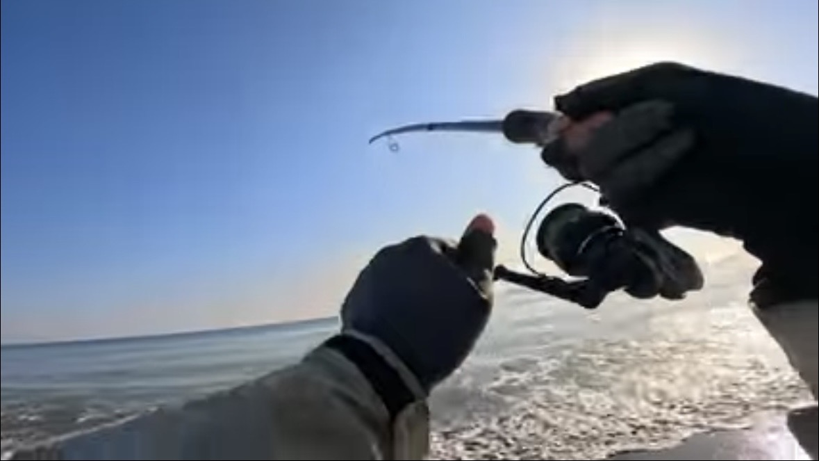 ｜「すぐそばに潜んでいました」砂浜の巨大魚が目の前で…。釣り上げた魚のサイズに「驚愕」。