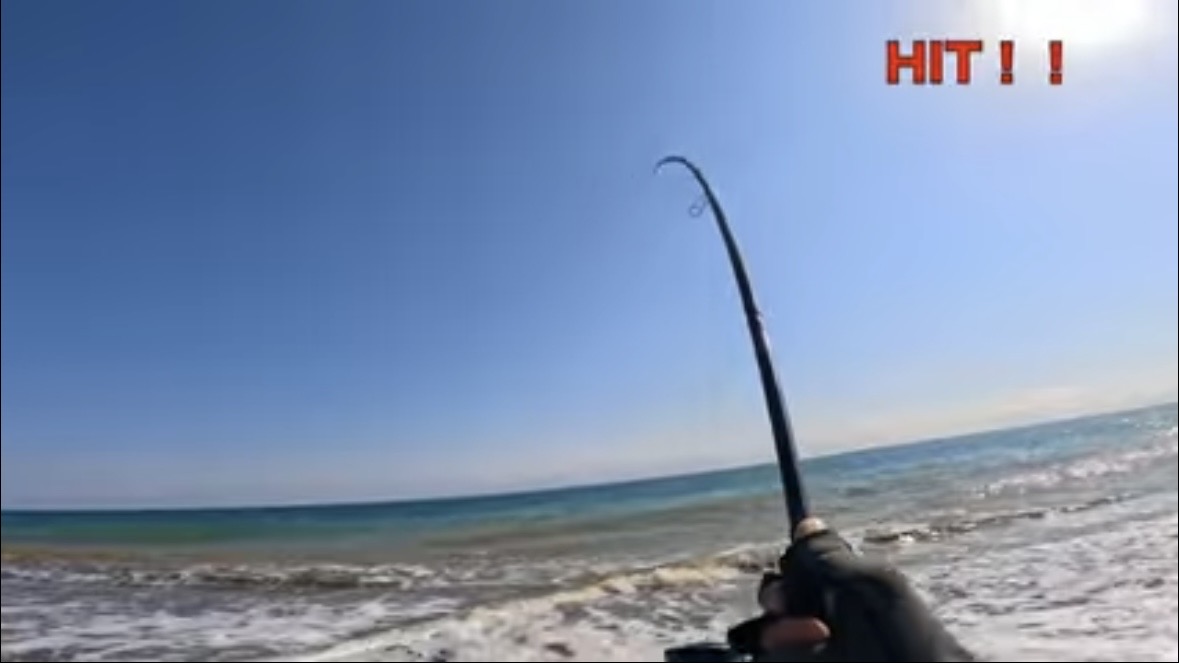 ｜「すぐそばに潜んでいました」砂浜の巨大魚が目の前で…。釣り上げた魚のサイズに「驚愕」。