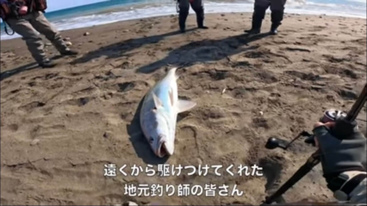｜「すぐそばに潜んでいました」砂浜の巨大魚が目の前で…。釣り上げた魚のサイズに「驚愕」。