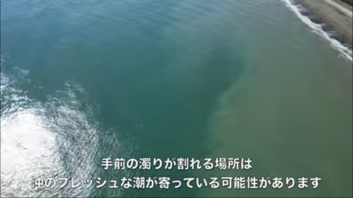 ｜「なんだこの魚」「宇宙人みたい」砂浜で釣れたのはまさかの…。『エイリアン顔』の魚の正体とは？