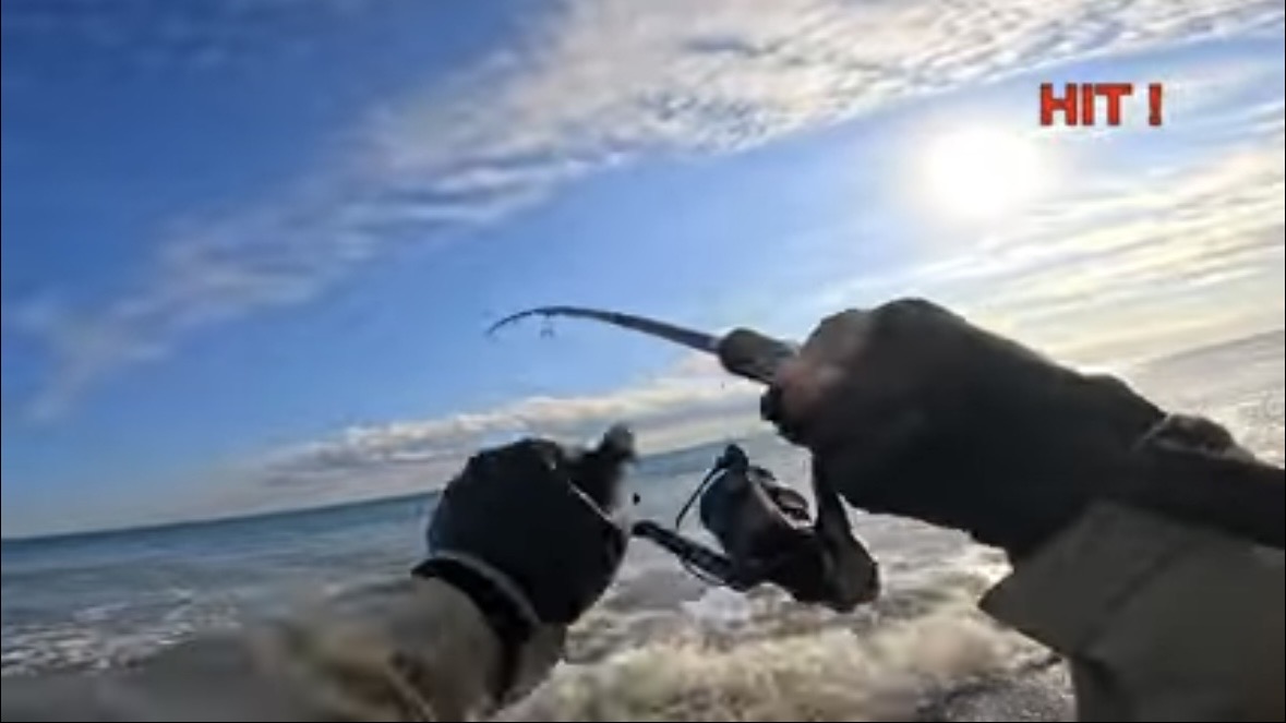 ｜「なんだこの魚」「宇宙人みたい」砂浜で釣れたのはまさかの…。『エイリアン顔』の魚の正体とは？