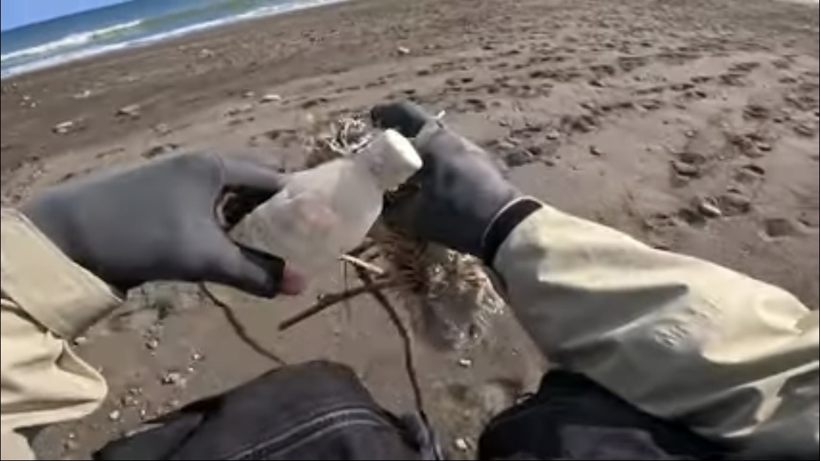 ｜「なんだこの魚」「宇宙人みたい」砂浜で釣れたのはまさかの…。『エイリアン顔』の魚の正体とは？