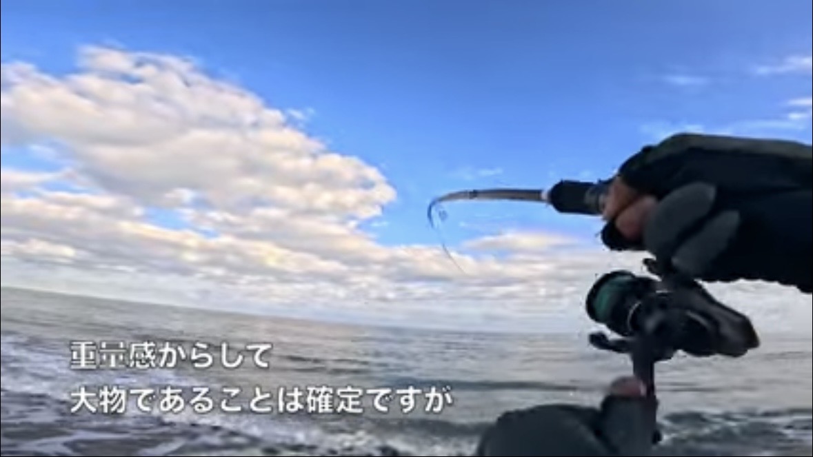 ｜「なんだこの魚」「宇宙人みたい」砂浜で釣れたのはまさかの…。『エイリアン顔』の魚の正体とは？