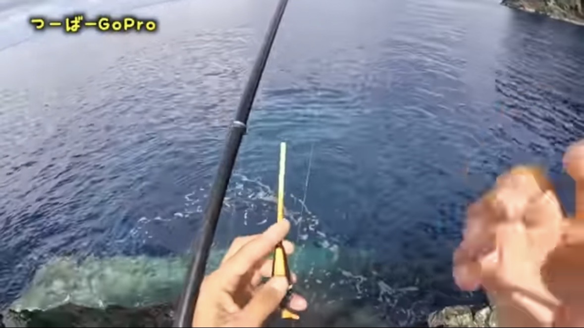 ｜「おいおい、マジかよ」「ワイヤーを切るモンスター」“緑色の謎の球体”を海に投入した結果が驚愕すぎた。