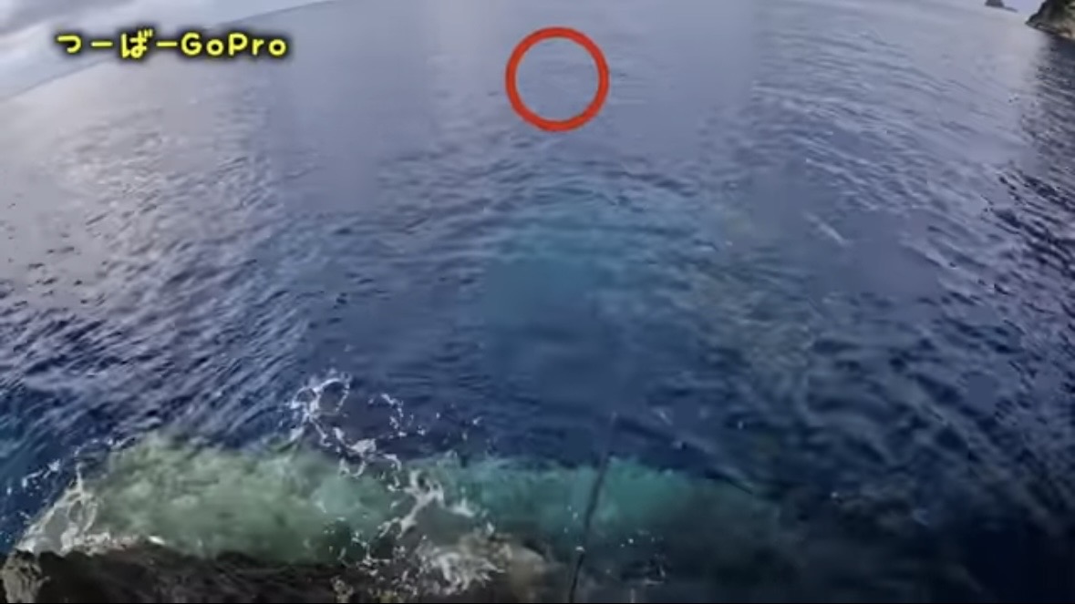 ｜「おいおい、マジかよ」「ワイヤーを切るモンスター」“緑色の謎の球体”を海に投入した結果が驚愕すぎた。