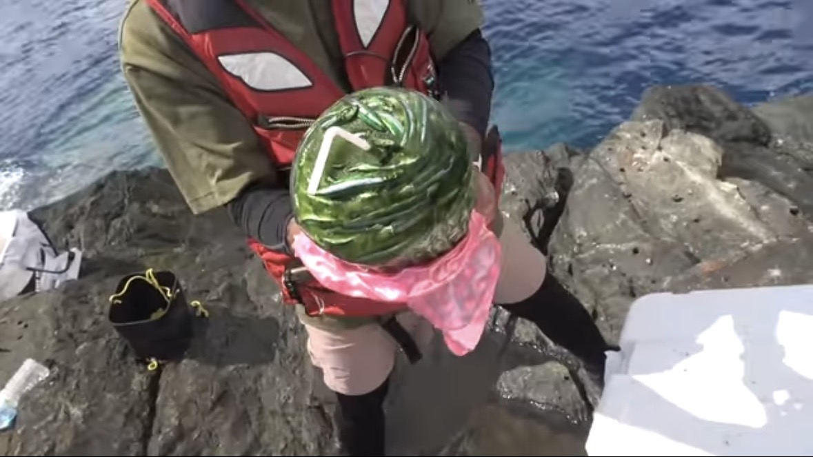 ｜「おいおい、マジかよ」「ワイヤーを切るモンスター」“緑色の謎の球体”を海に投入した結果が驚愕すぎた。