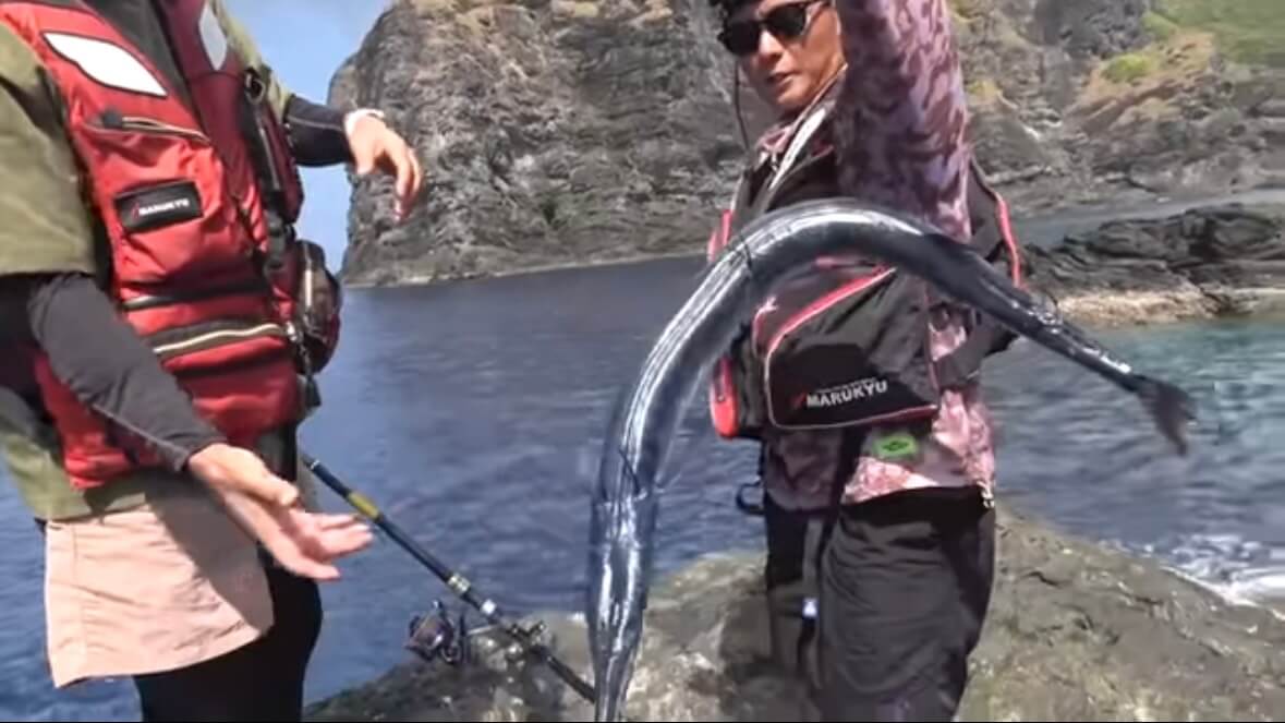 ｜「おいおい、マジかよ」「ワイヤーを切るモンスター」“緑色の謎の球体”を海に投入した結果が驚愕すぎた。