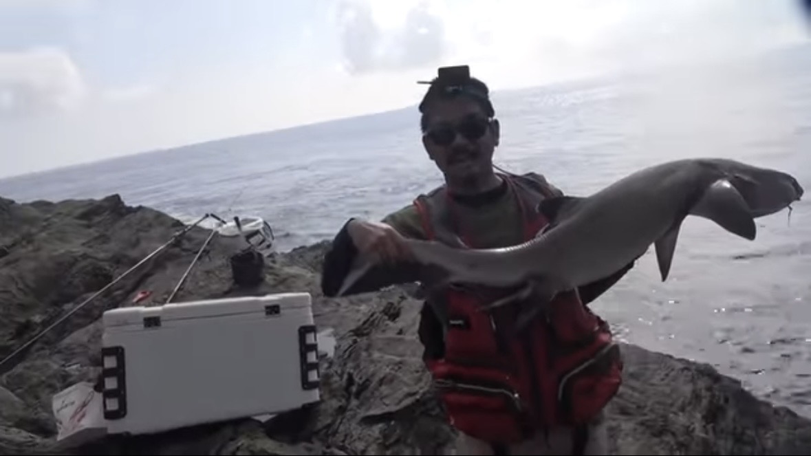 ｜「おいおい、マジかよ」「ワイヤーを切るモンスター」“緑色の謎の球体”を海に投入した結果が驚愕すぎた。