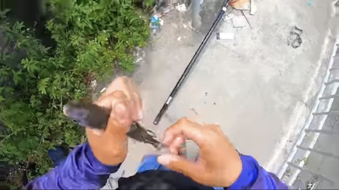 ｜「マジでいるのか」大都会に流れる川で『世界三大危険ザメ』を捕獲。「本当に珍しい事態です」