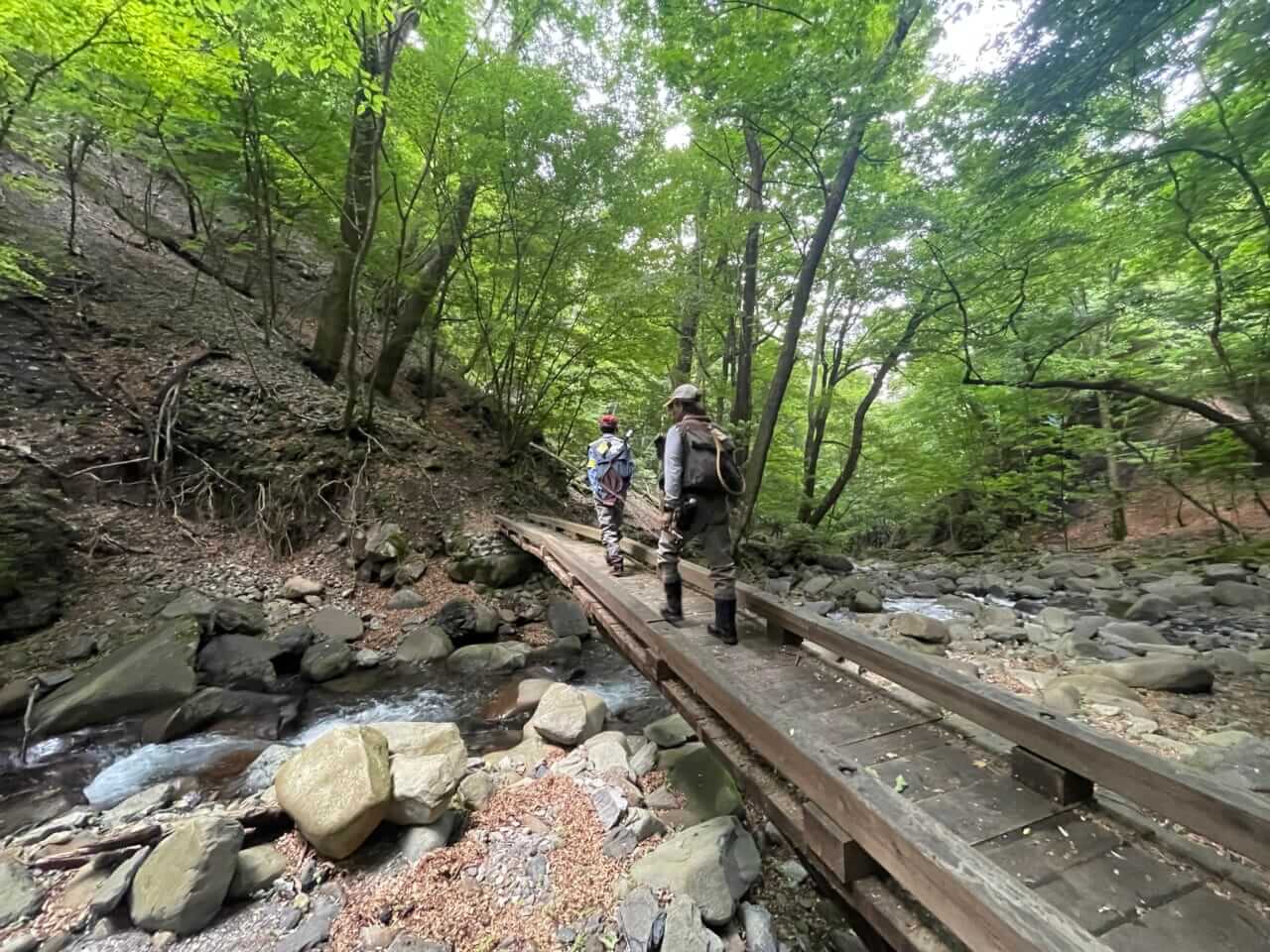 ｜渓流解禁に向けて覚えておきたい最低限のルール