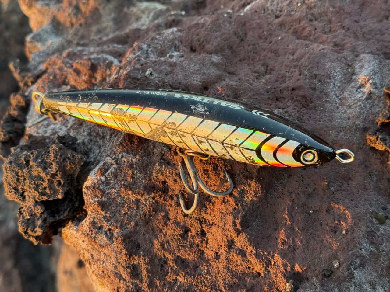 ｜【DAIWA】“最新ソルティガ”で攻略する五島列島のヒラマサ。瀬川良太のこだわりが詰まったタックルとルアーを大解剖。