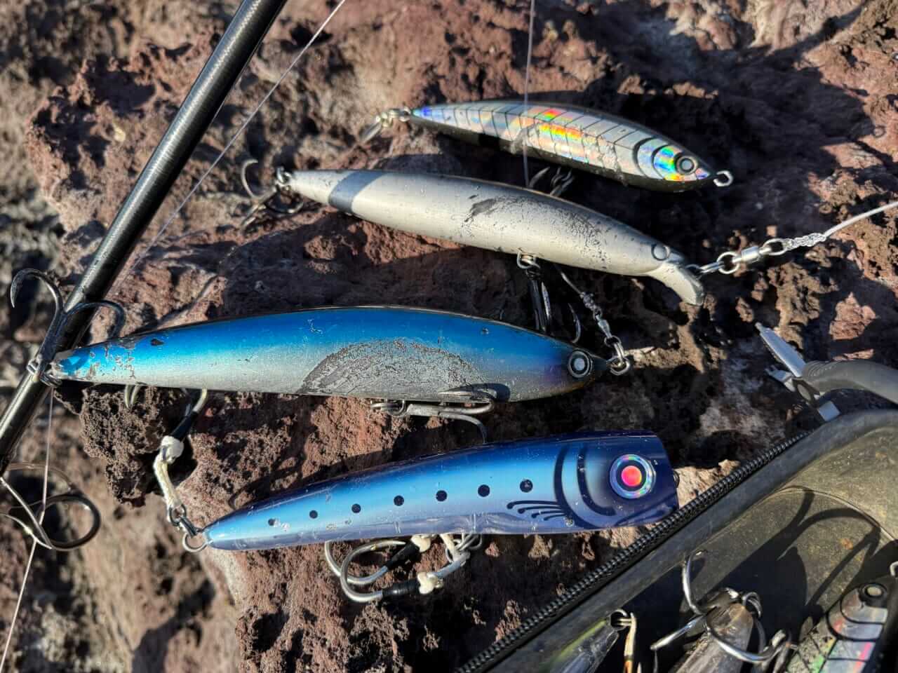 |【DAIWA】“最新ソルティガ”で攻略する五島列島のヒラマサ。瀬川良太のこだわりが詰まったタックルとルアーを大解剖。