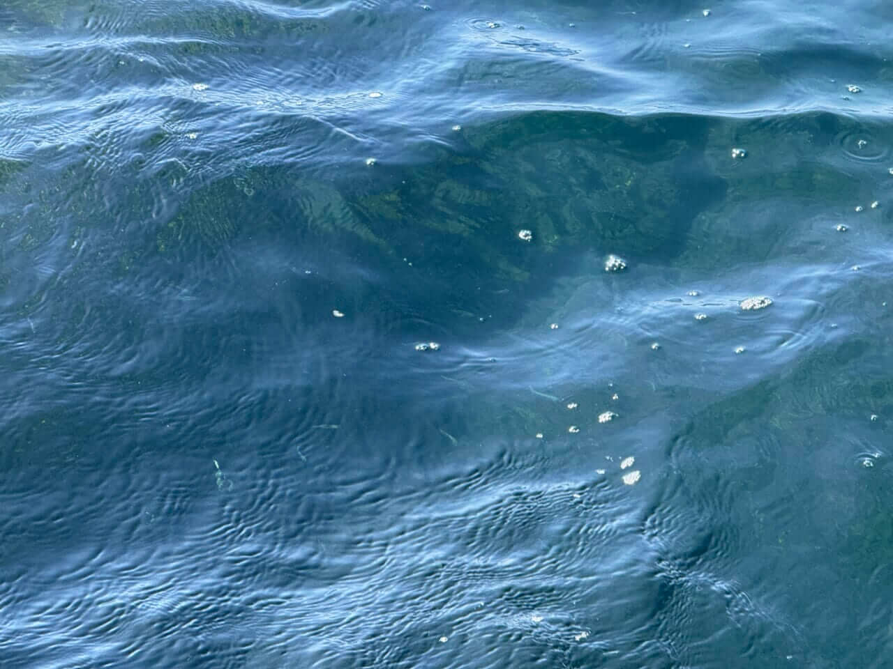 ｜世界を渡り歩く瀬川良太がヒラマサにたどり着くまでのプロセスとは？  ポイントの選び方から“瀬川流”ルアーローテションを暴く。