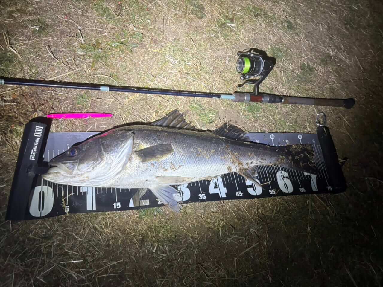 ｜【２月は本気出せ】バチ抜けが猛威を振るってきたので行ってみたら…。