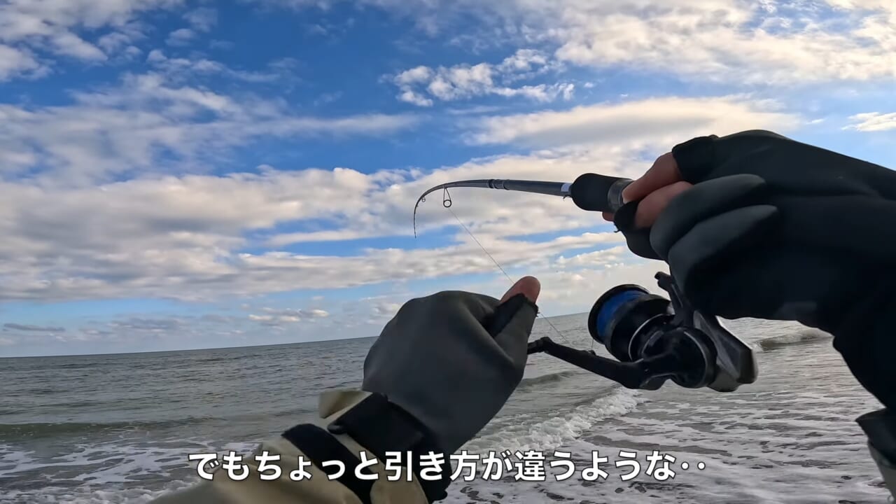 ｜「なんだこの魚」「宇宙人みたい」砂浜で釣れたのはまさかの…。『エイリアン顔』の魚の正体とは？