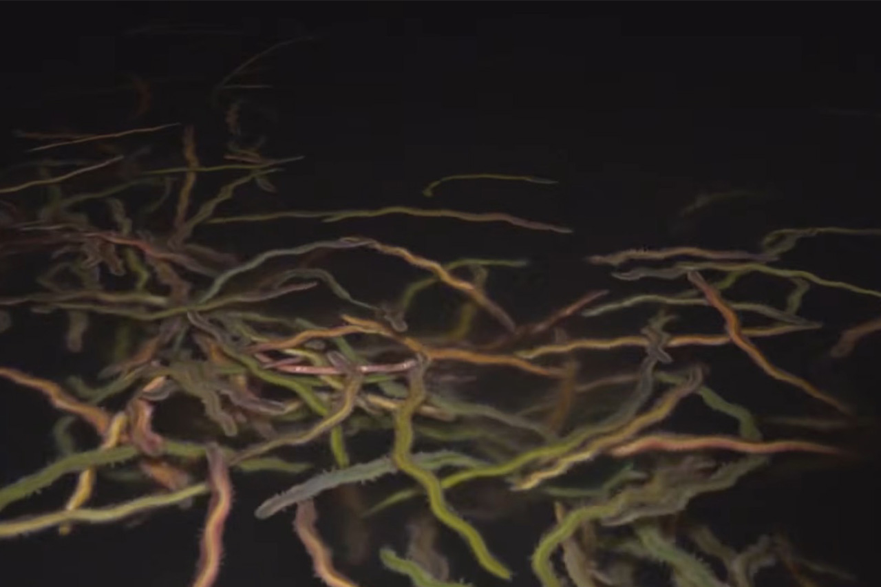 |「バチ抜けって簡単なんでしょ?」甘い言葉に騙されたら、“大量のバチ”に囲まれた。