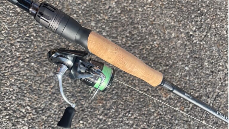 高級モデルと同じ番手がこの値段で？「この価格でこの使いやすさは間違いなく買い」DAIWAの新生タトゥーラの完成度が高すぎる！