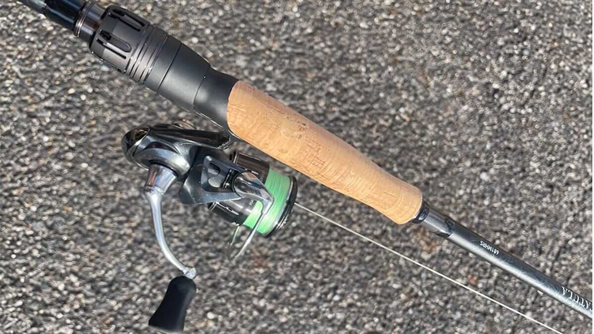 ｜高級モデルと同じ番手がこの値段で？「この価格でこの使いやすさは間違いなく買い」DAIWAの新生タトゥーラの完成度が高すぎる！