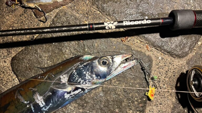 ルアー感覚で楽しめるタチウオのテンヤゲーム。独特なアタリでハマる釣り人続出中!? タックルと釣り方を解説。