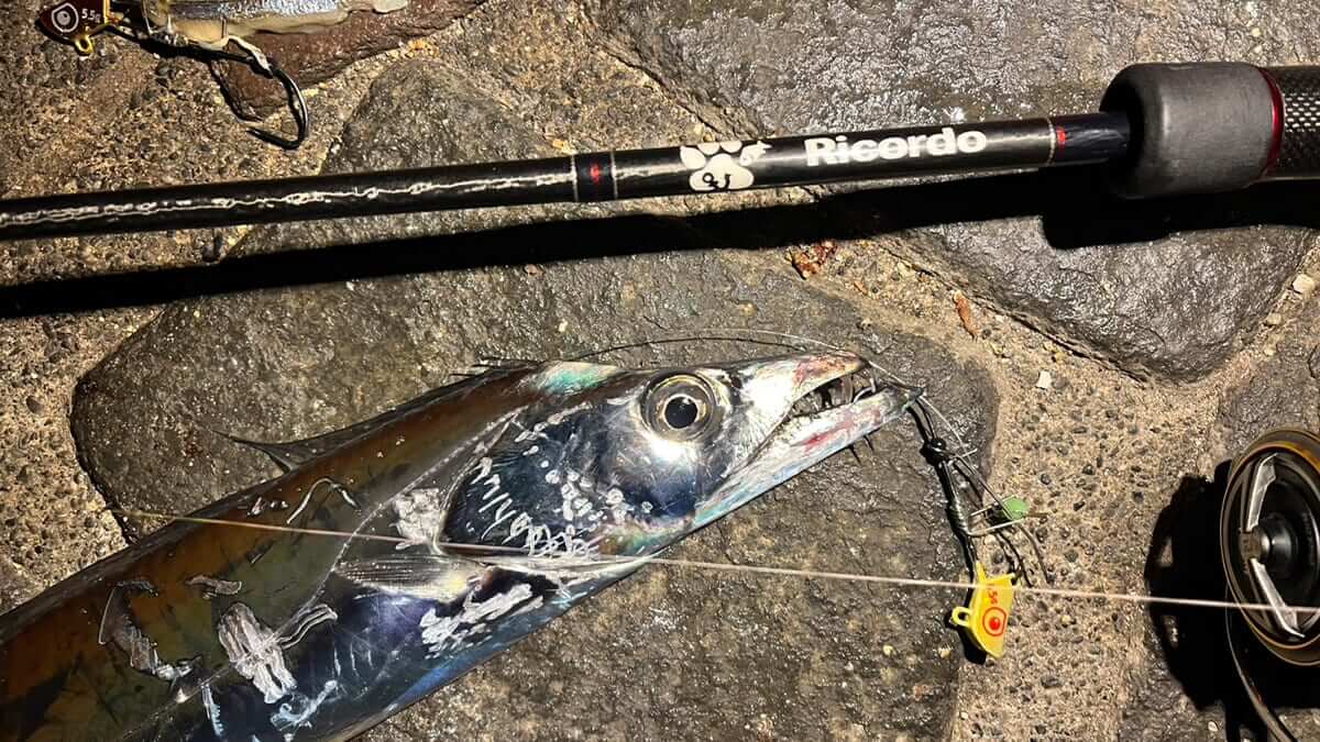 ｜ルアー感覚で楽しめるタチウオのテンヤゲーム。独特なアタリでハマる釣り人続出中!? タックルと釣り方を解説。