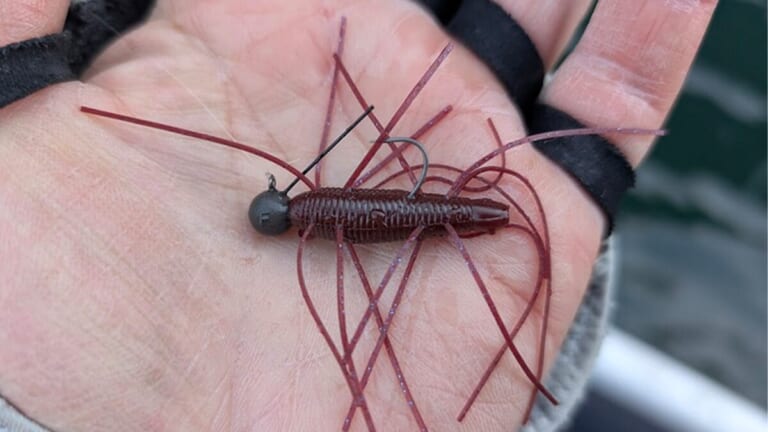 真冬の相模湖に50アップ降臨！　『クリーピーエッグラバー』のジグヘッドでじっくり見せて…。ダートパニックもオススメ！【大津清彰のバス釣り真相解明】