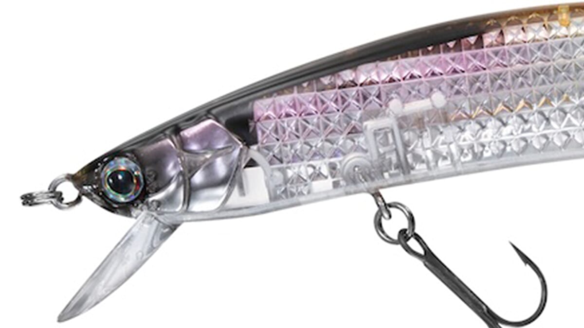 ｜光の乱反射でターゲットを魅了！低水温期のハイプレ場でもしっかり魚をキャッチ。DAIWA新作ルアーの使い方のコツとは？