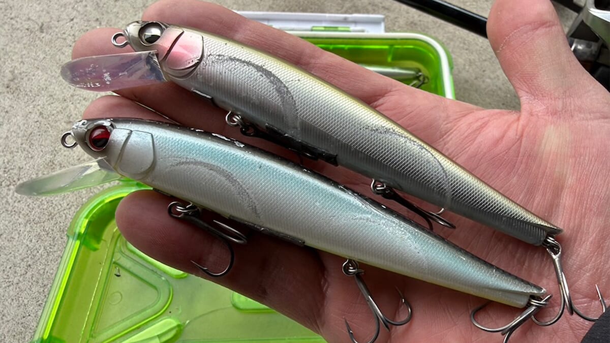 |「キモはデッド・デッド・フローティング」板オモリやフックなど、釣れるセッティングを紹介。護岸際の大興奮のジャーキングゲームを堪能あれ!