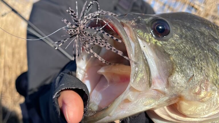 「春を感じる赤い目のオスバス…」お腹パンパンのメスも！暖かい日のシャローカバーに圧倒的に効くルアーとは？