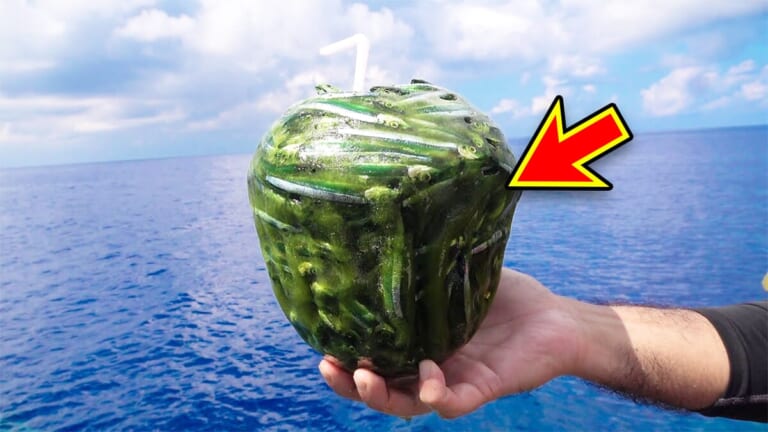 「おいおい、マジかよ」「ワイヤーを切るモンスター」“緑色の謎の球体”を海に投入した結果が驚愕すぎた。