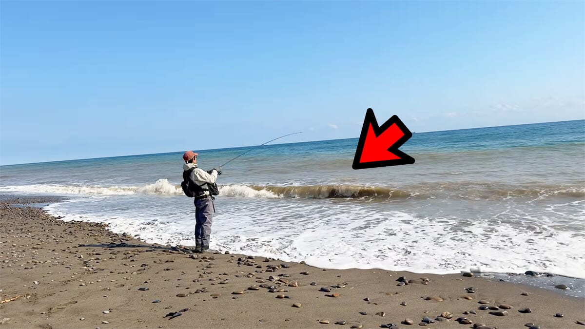 ｜「すぐそばに潜んでいました」砂浜の巨大魚が目の前で…。釣り上げた魚のサイズに「驚愕」。