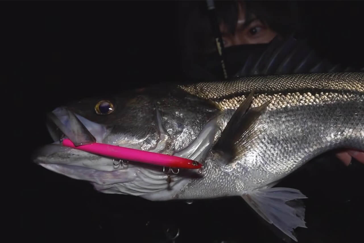 |「バチ抜けって簡単なんでしょ?」甘い言葉に騙されたら、“大量のバチ”に囲まれた。