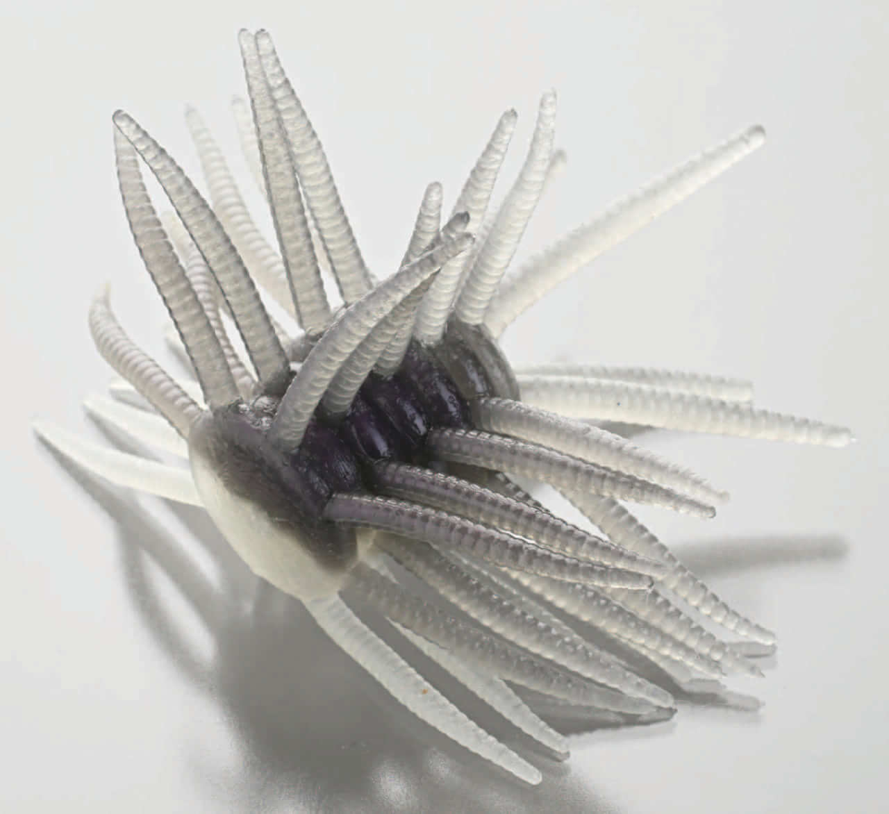 ｜真冬のバスを捕らえる「ゼロ距離戦法」