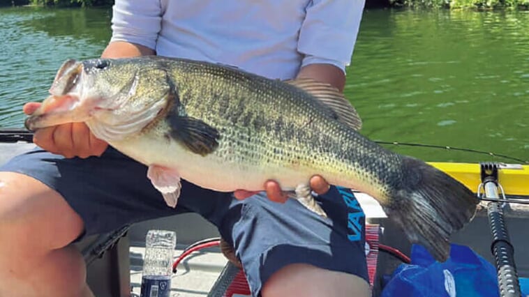 釣れなくなったのはライブスコープのせいじゃなくてSNS？スタイルに関わらずバスを大切にする気持ちは忘れずに