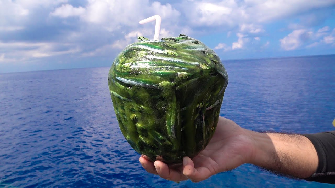 ｜「おいおい、マジかよ」「ワイヤーを切るモンスター」“緑色の謎の球体”を海に投入した結果が驚愕すぎた。