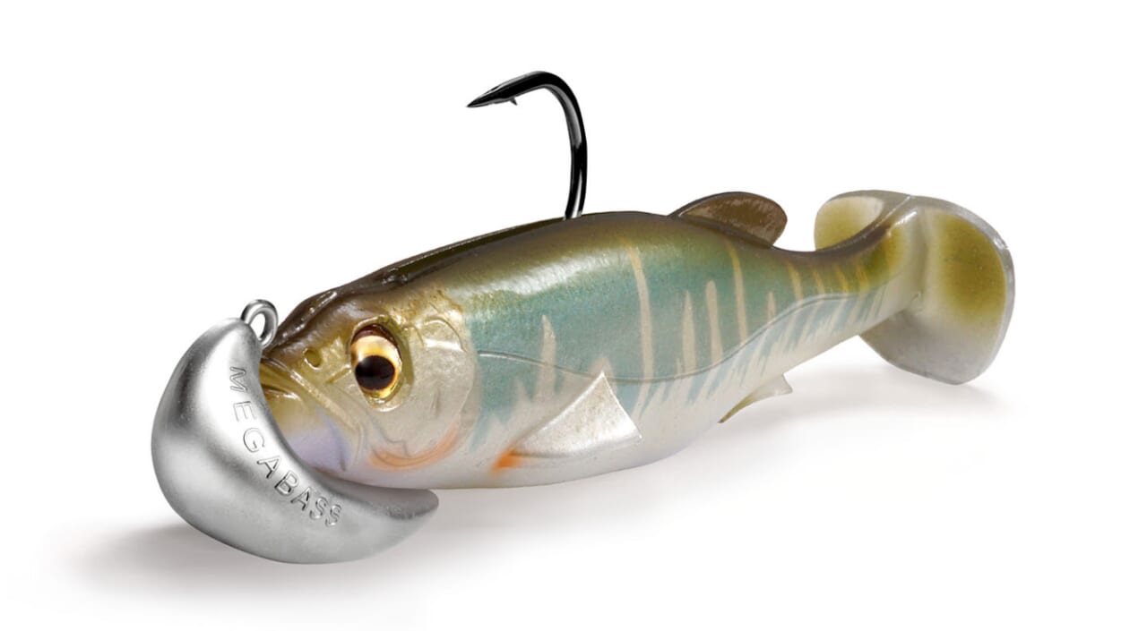 ｜メガバス2026年NEWアイテムが遂に発表！新作ドッグXに復活のオカシラヘッド⁉注目アイテムまとめ