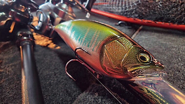 デカい魚を釣るためには「釣れない」を受け入れる必要がある⁉ハードルアーでビッグフィッシュを狙うための心得とは