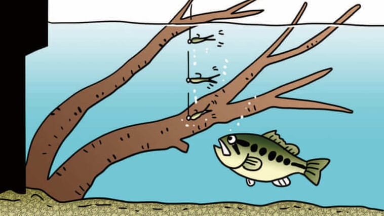 真冬のバスを捕らえる「ゼロ距離戦法」