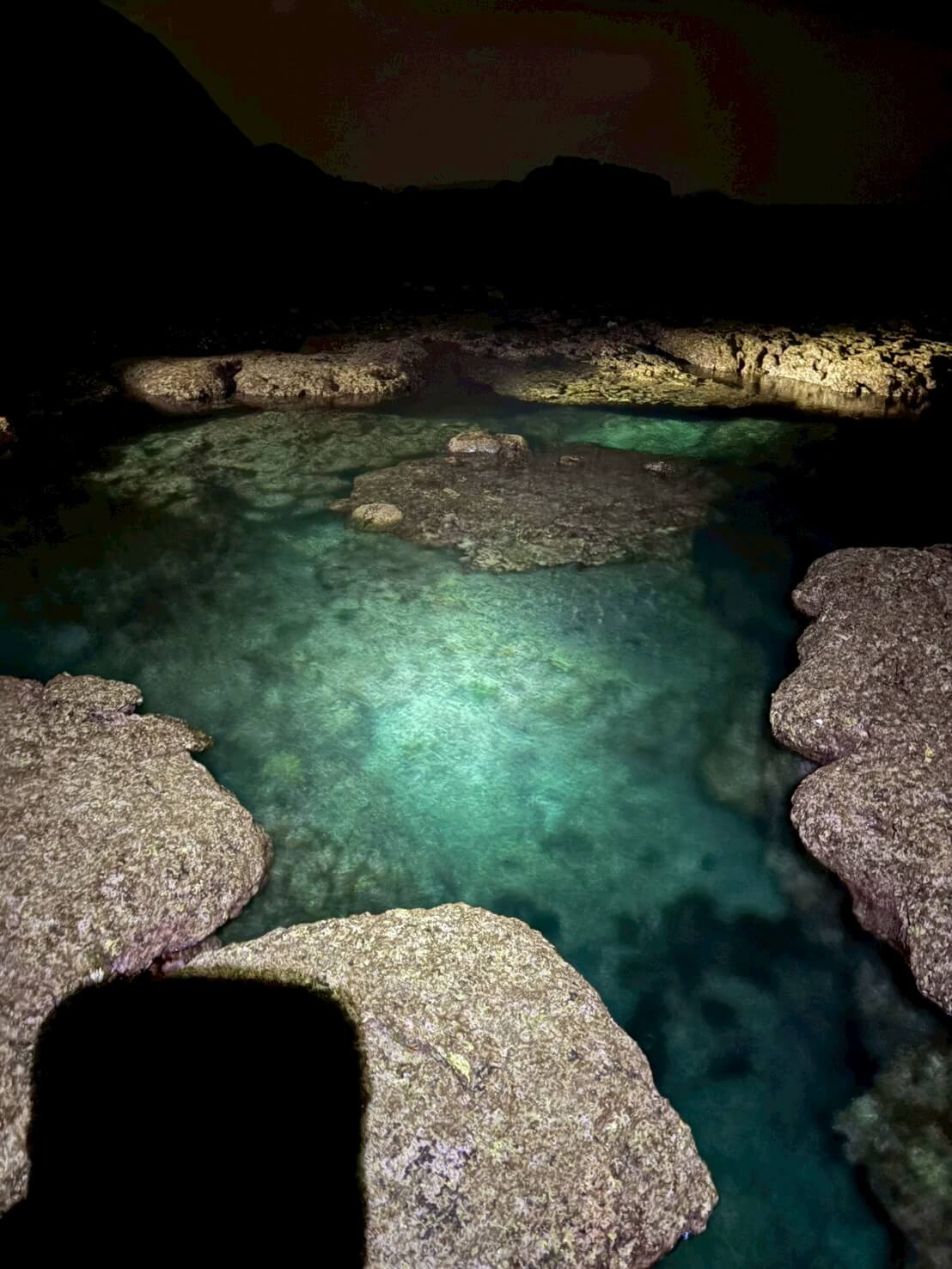 ｜TULALAのNEWパックロッド2本を「釣り比べ」。見えてきた“違い”と“使い分け”を徹底解説。