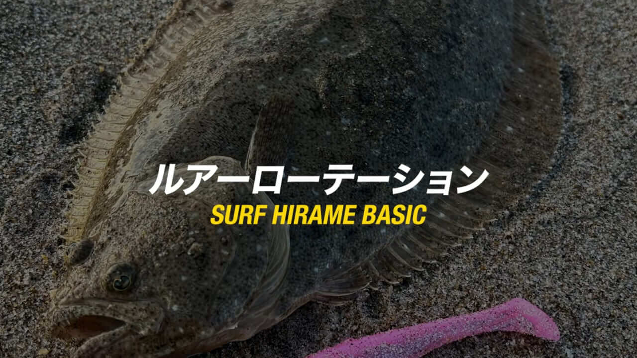 ｜サーフでヒラメを狙ってみよう！初心者必見！ポイントの見極め方から装備、ライン選びまで