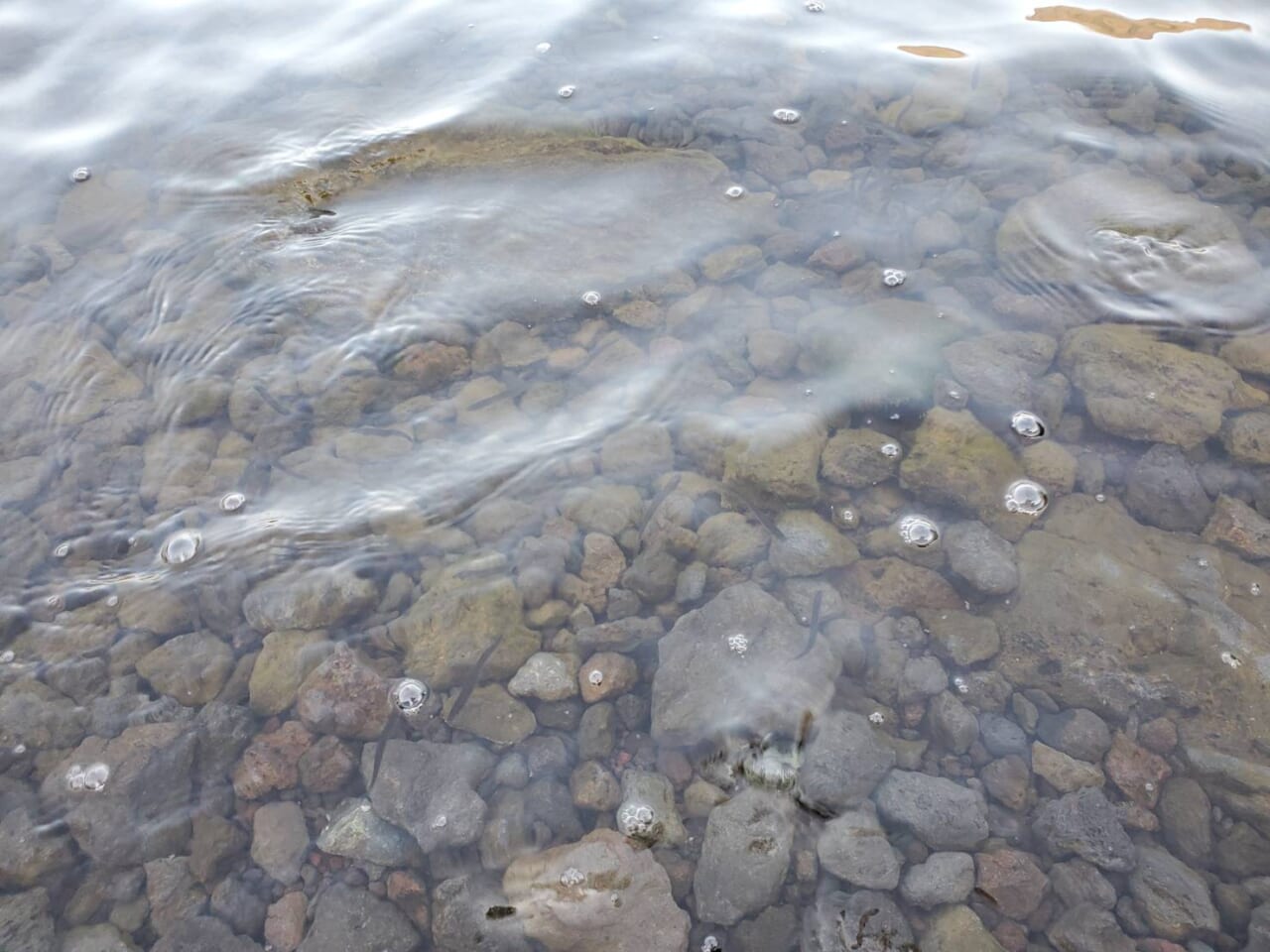 ｜【初心者にもおススメの釣れるミノー10選】小魚ソックリのジャークベイトとはどんなルアー？