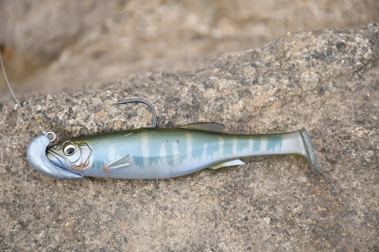 ｜オカッパリだから釣れる「でかバス」は確実に存在する! 「真冬に浅場を狙うetc…」岸釣り最新理論