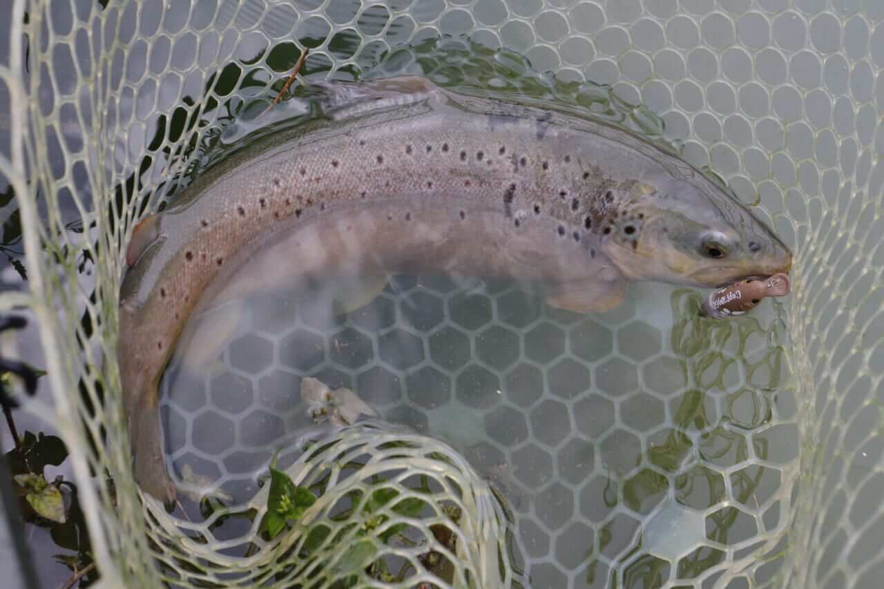 |歴史と自然が深く交差する~聖地水辺巡礼~【鹿島槍ガーデン】